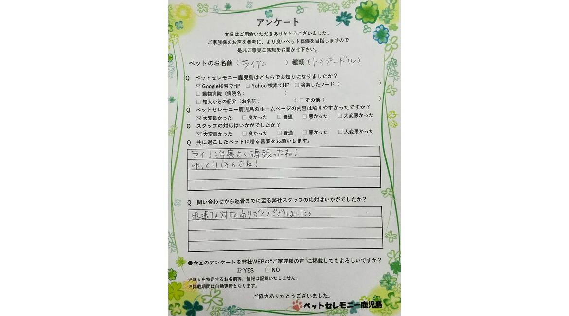 アンケート
