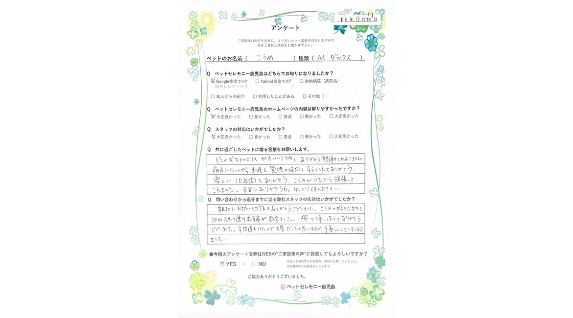 アンケート