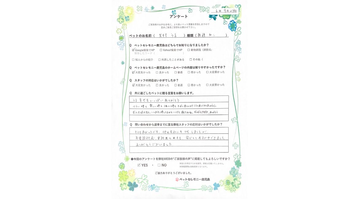 アンケート