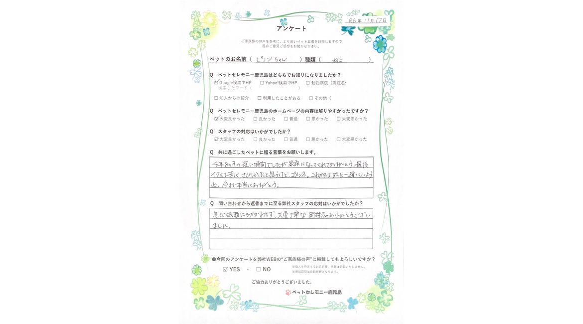 アンケート
