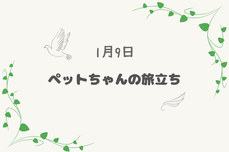 1/9　表紙